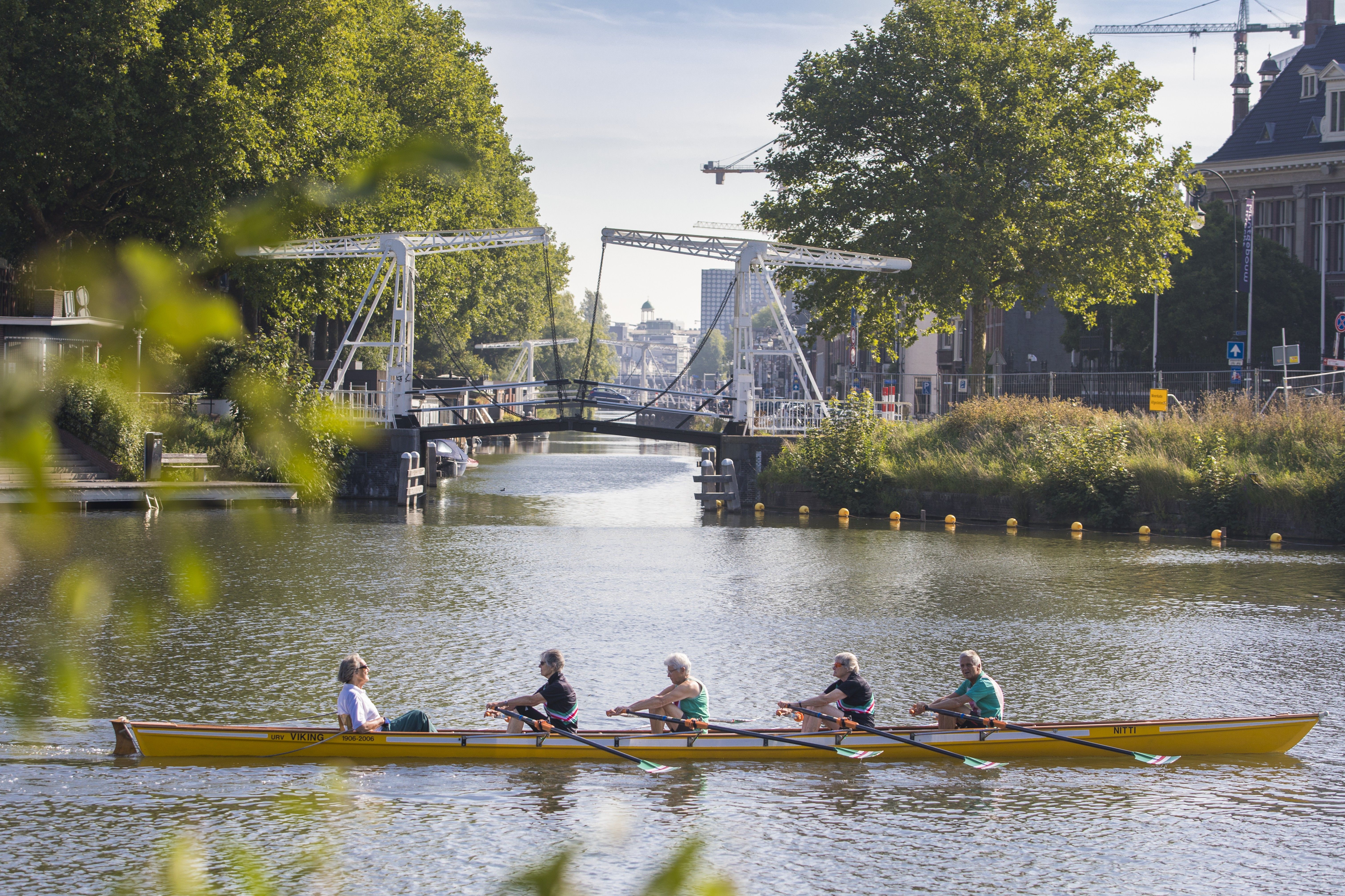Roeiers op Merwedekanaal