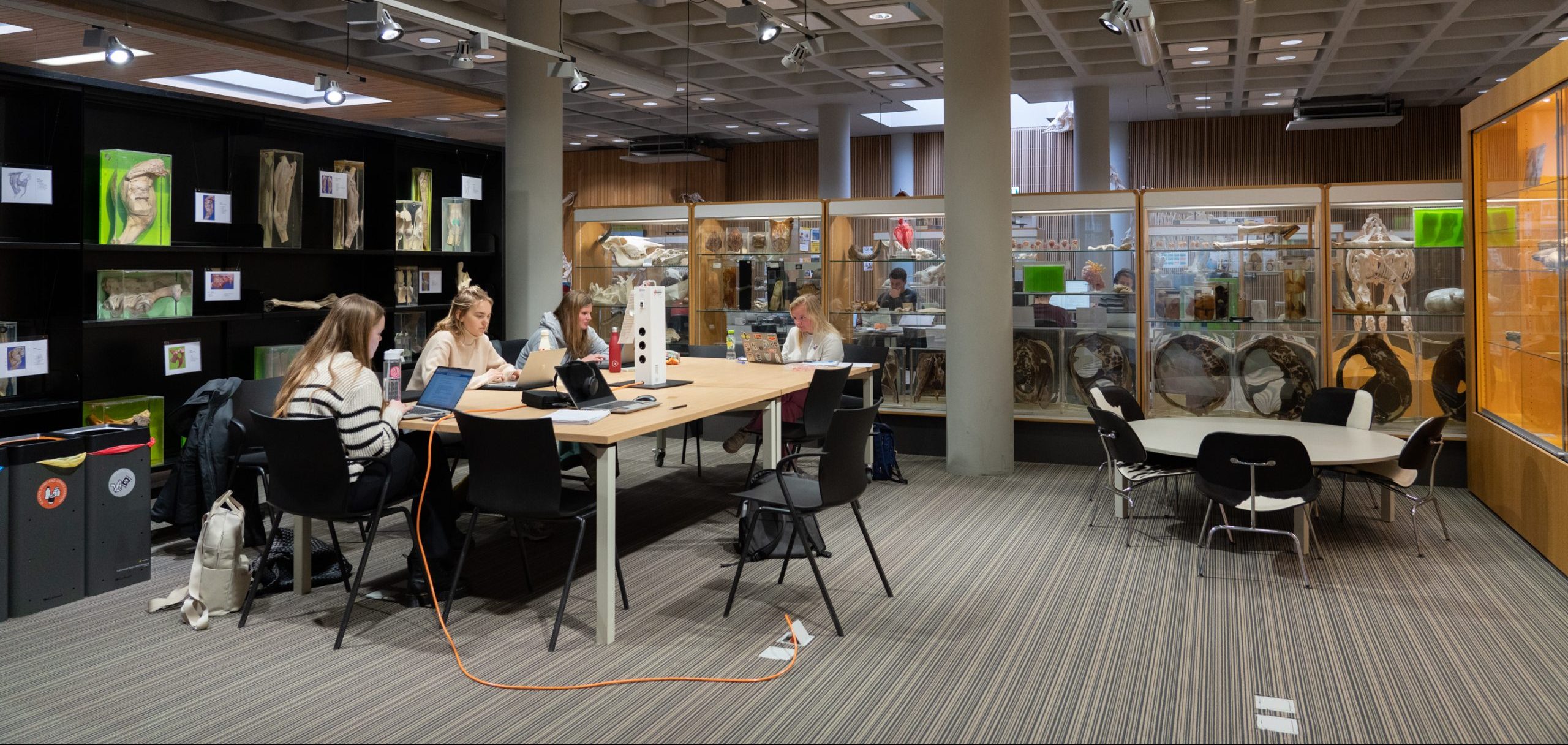 Utrecht University: Care, Health, and Society