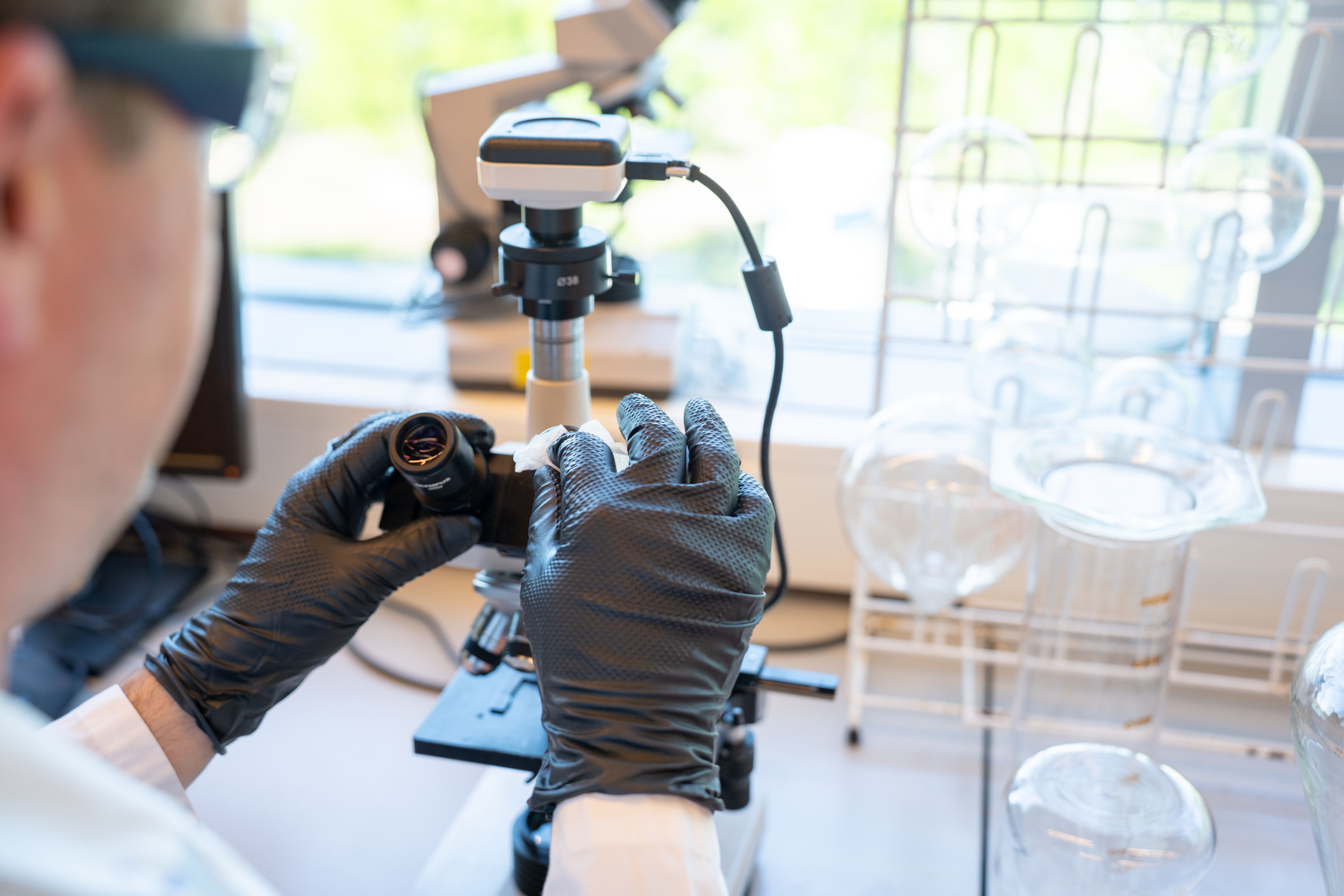 Gehandschoende handen stoppen een sample onder de microscoop